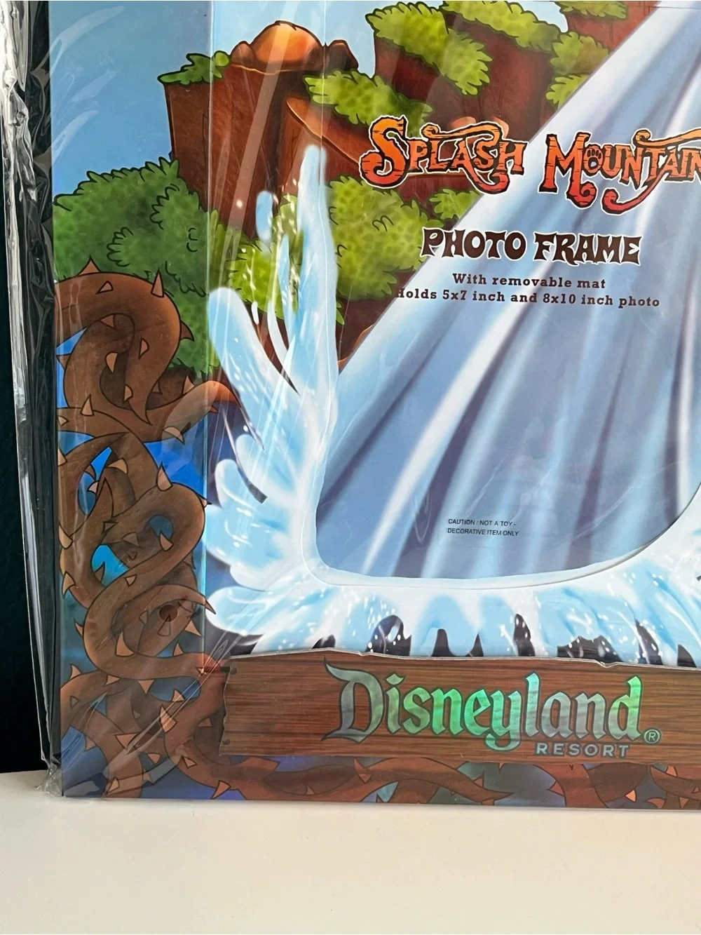 Vintage Magic Kingdom Disneyland Resort Splash Mountain Picture Frame 5x7” 8x10”